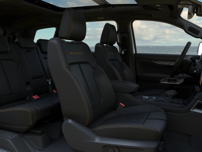 Wildtrak finish
