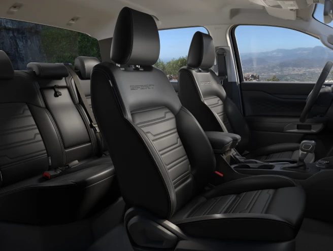 Ebony Interior Finish