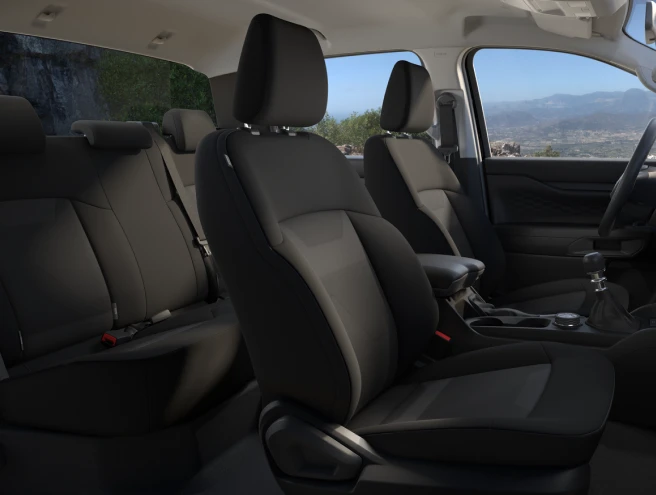 Ebony Interior finish