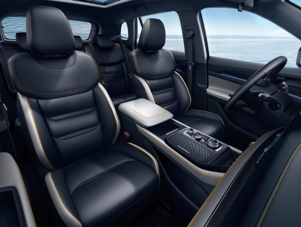 Leather Seats