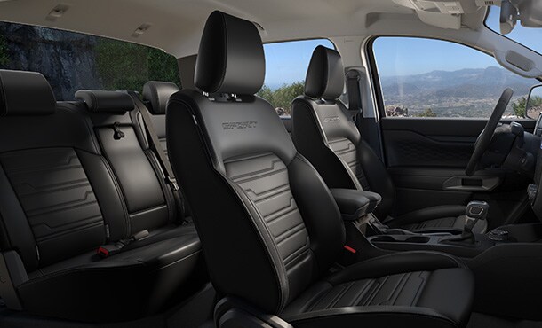 Ebony Interior Finish