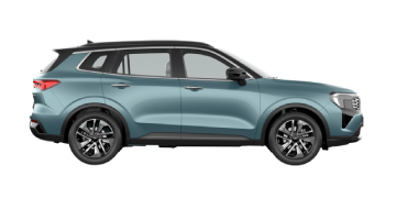 New Territory Hybrid Platinum