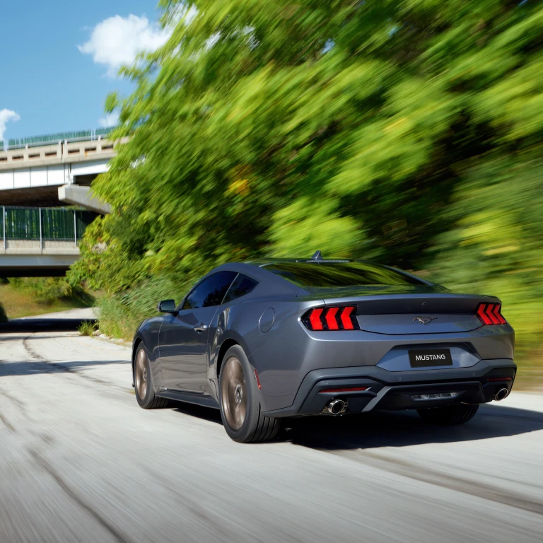 Mustang Grey