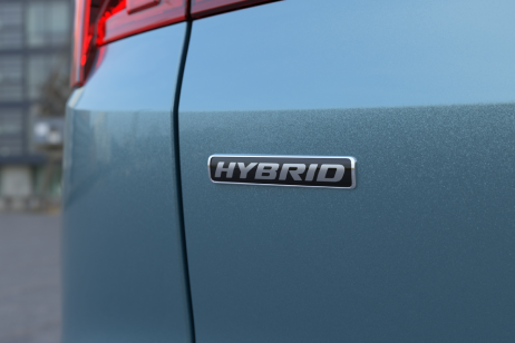 Territory Hybrid in blue