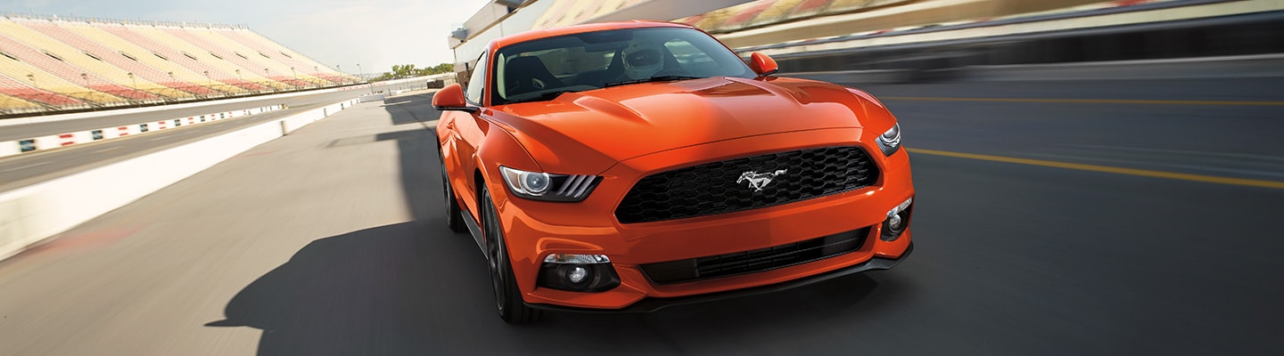 Ford Philippines Sales Rise 19 Percent