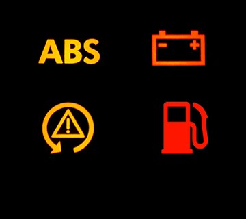 Download Owner Manuals