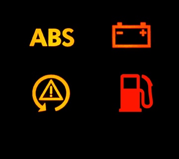 Download Owner Manuals