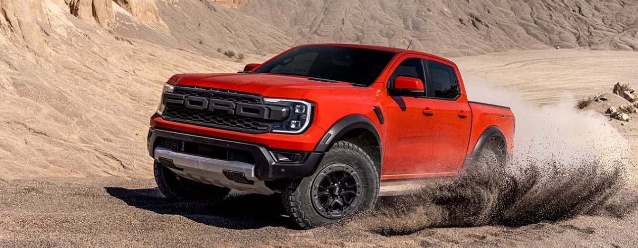 raptor
